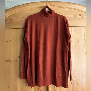 All Saints Merino Wool  Turtleneck